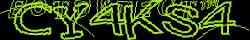 Retype the CAPTCHA code from the image
